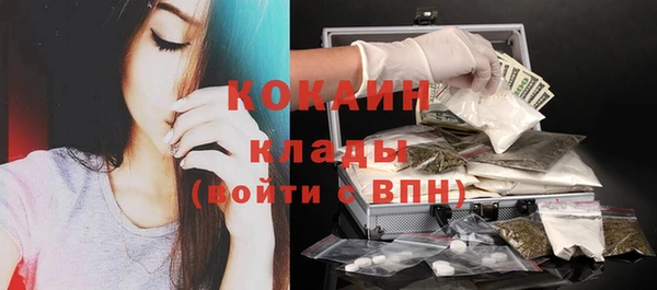 молекула духа Абинск