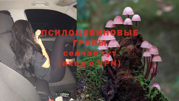 дмт Алзамай