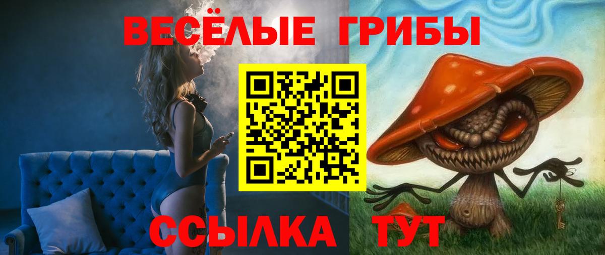 Галлюциногенные грибы мицелий  Вход с VPN  Псилоцибиновые грибы мицелий  Ангарск 