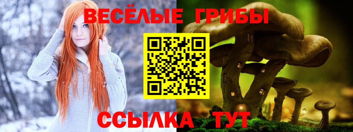 Галлюциногенные грибы Magic Shrooms Ангарск